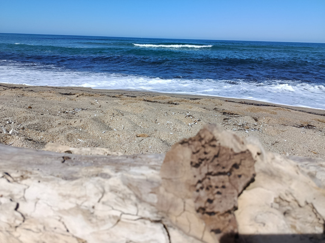 Spiaggia Li Junchi - Badesi-Badesi必去景点