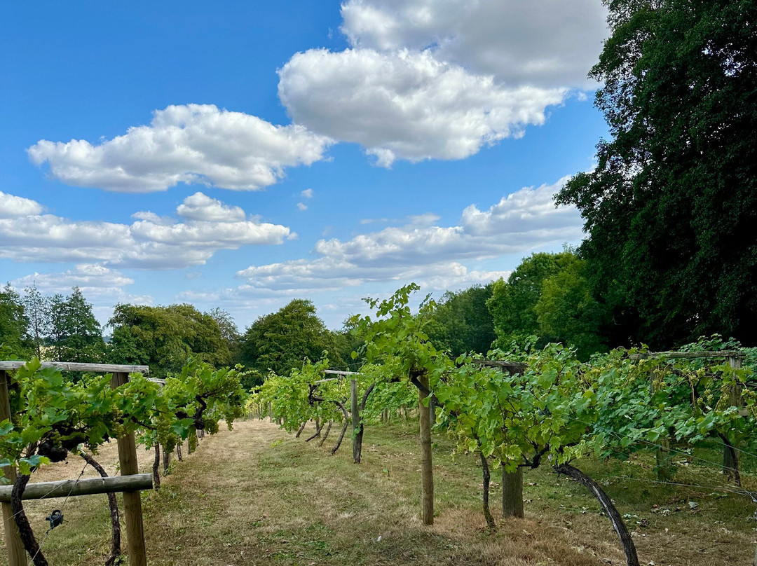Chiltern Valley Winery & Brewery-泰晤士河畔亨利必去景点