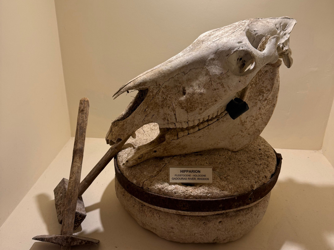 Museum of Mineralogy & Paleontology Stamatiadis-Ialysos必去景点