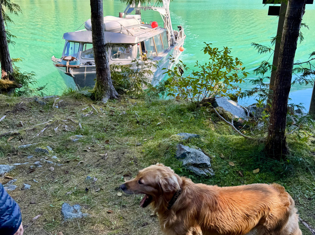 Bella Coola Grizzly Tours-Bella Coola必去景点
