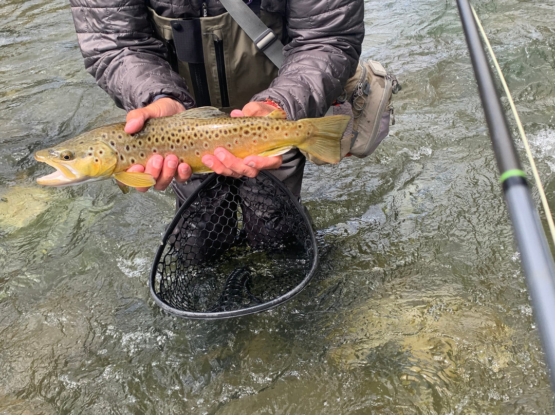 Gallatin River Guides-大斯凯必去景点