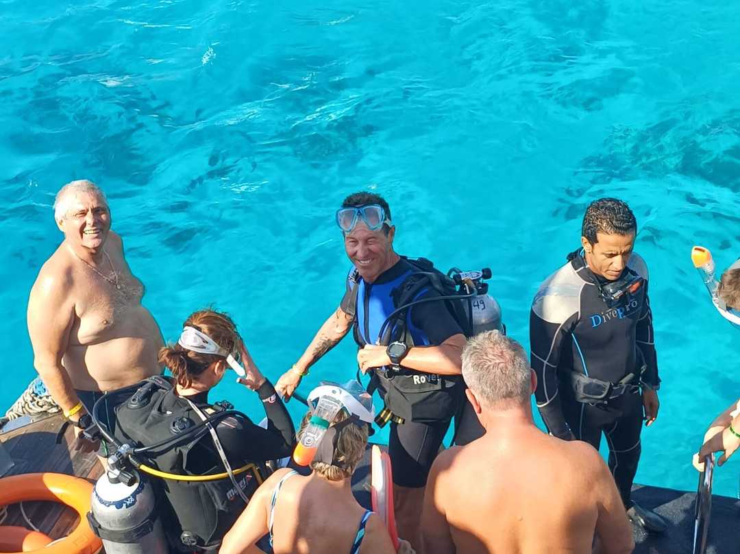 Sinai Dive Club-沙姆沙伊赫必去景点