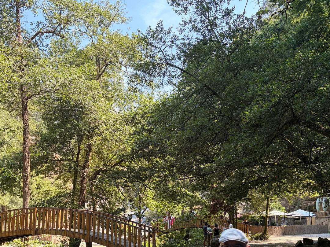 Parque Natural Ria Barosa-Barro必去景点