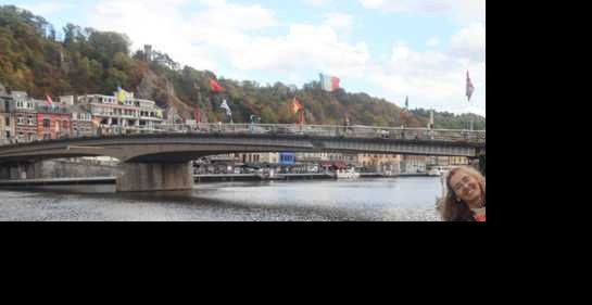 Pont Charles-de-Gaulle-迪南必去景点