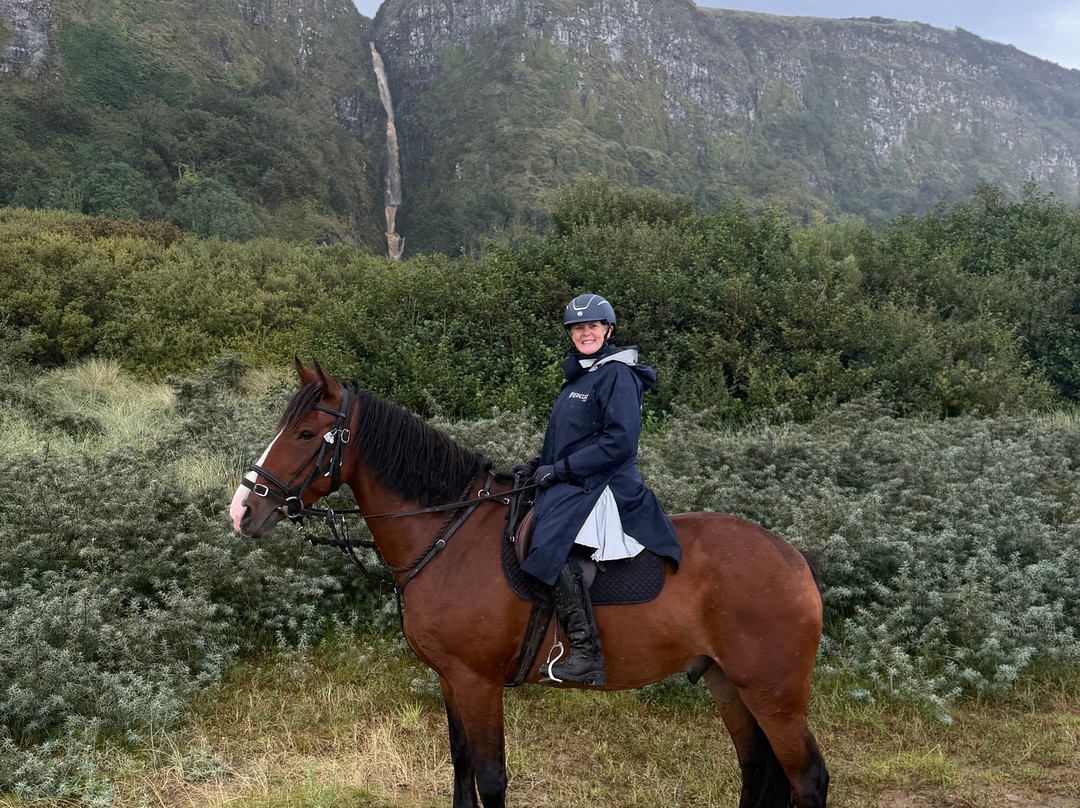 Bespoke Equestrian Ireland-都柏林必去景点