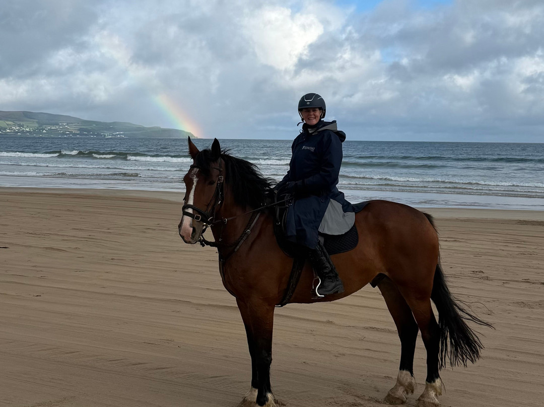 Bespoke Equestrian Ireland-都柏林必去景点
