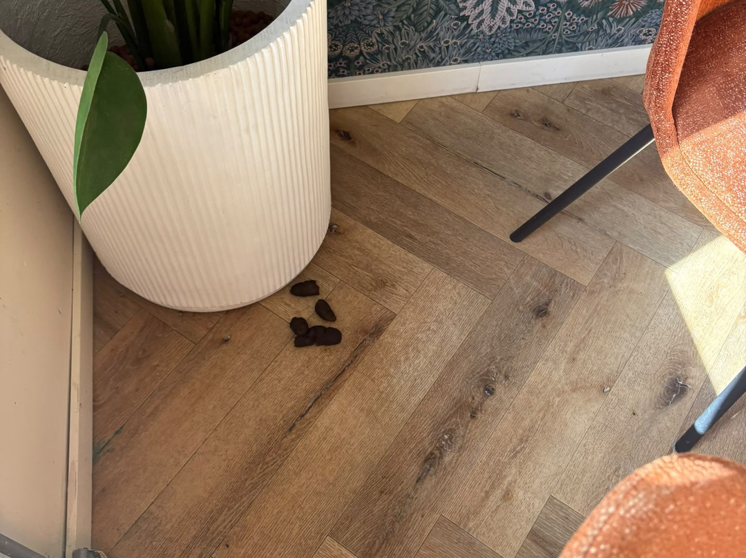 Proeflokaal Bregje Nieuwkoop