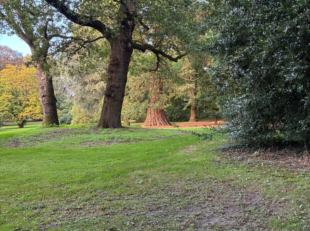 Park Hartenstein-Oosterbeek必去景点