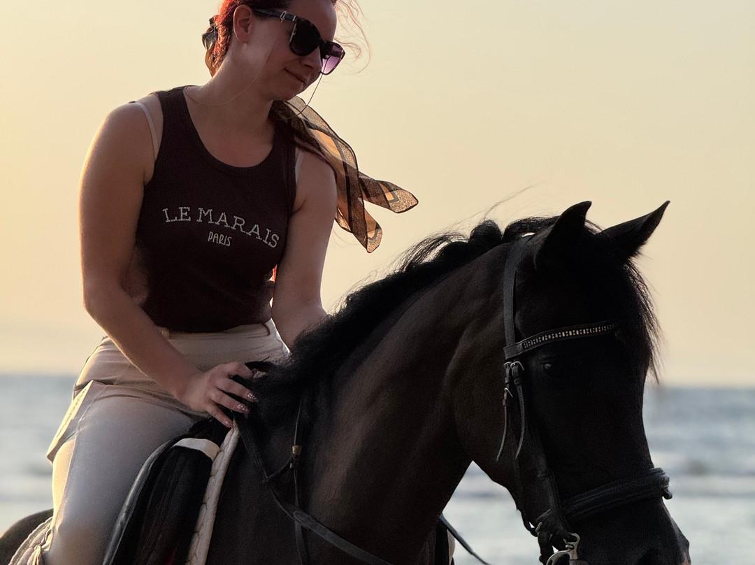 Horse Trips Egypt-Tunis必去景点