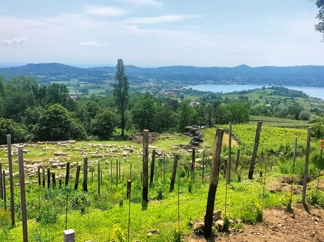 Lago di Bertignano-Viverone必去景点