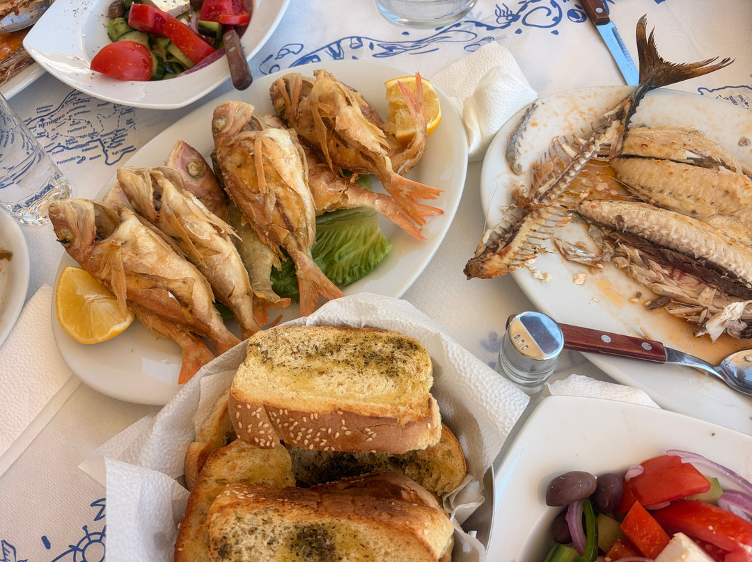 Fishing trips Manthos Agia Galini