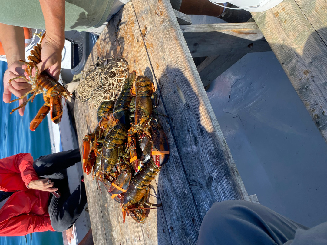 Acadia Lobster Cruise-Southwest Harbor必去景点