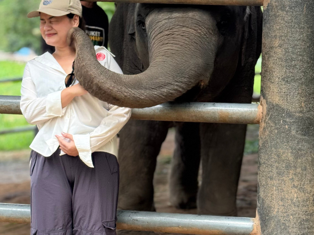 Phuket Elephant Care-奈通必去景点