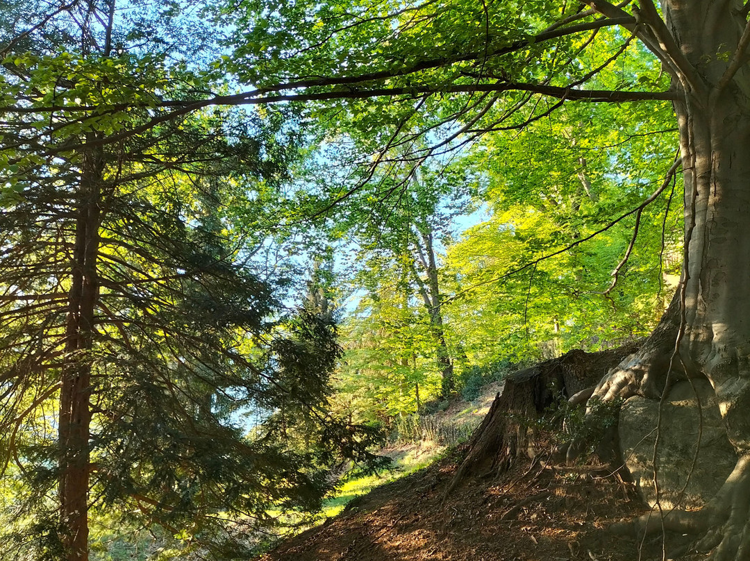 Parco della Burcina-Pollone必去景点
