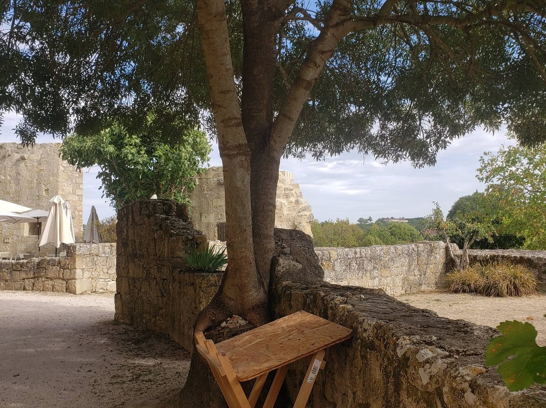 Le Village Fortifie de Larressingle-Larressingle必去景点