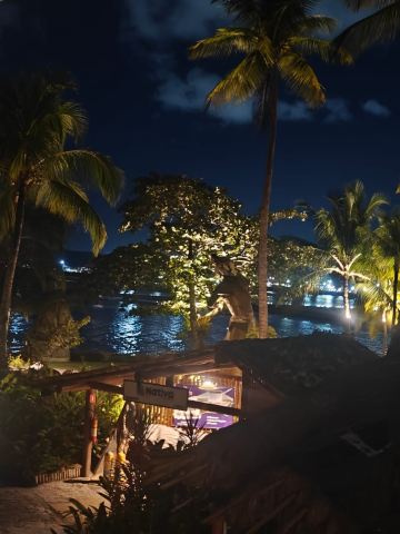 阿莱尔达约达生态度假酒店-旅行者