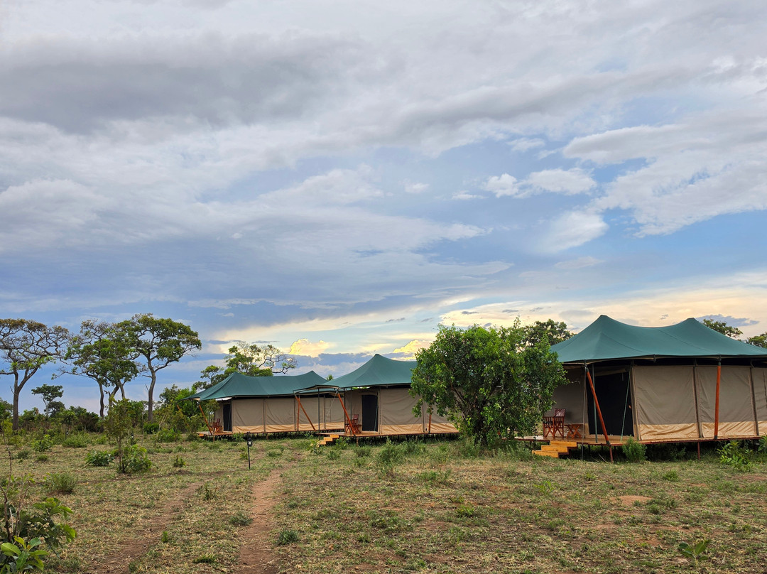 Friends Camps and Lodge-Seronera必去景点