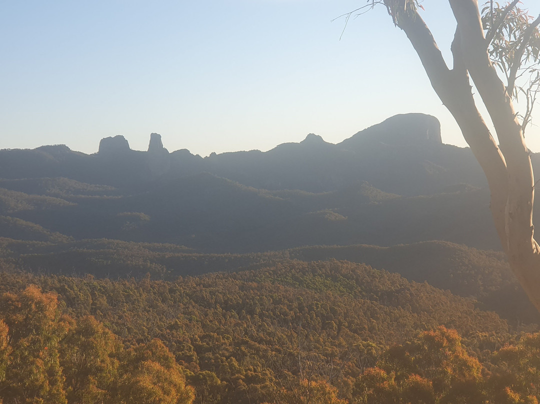 Whitegum Lookout