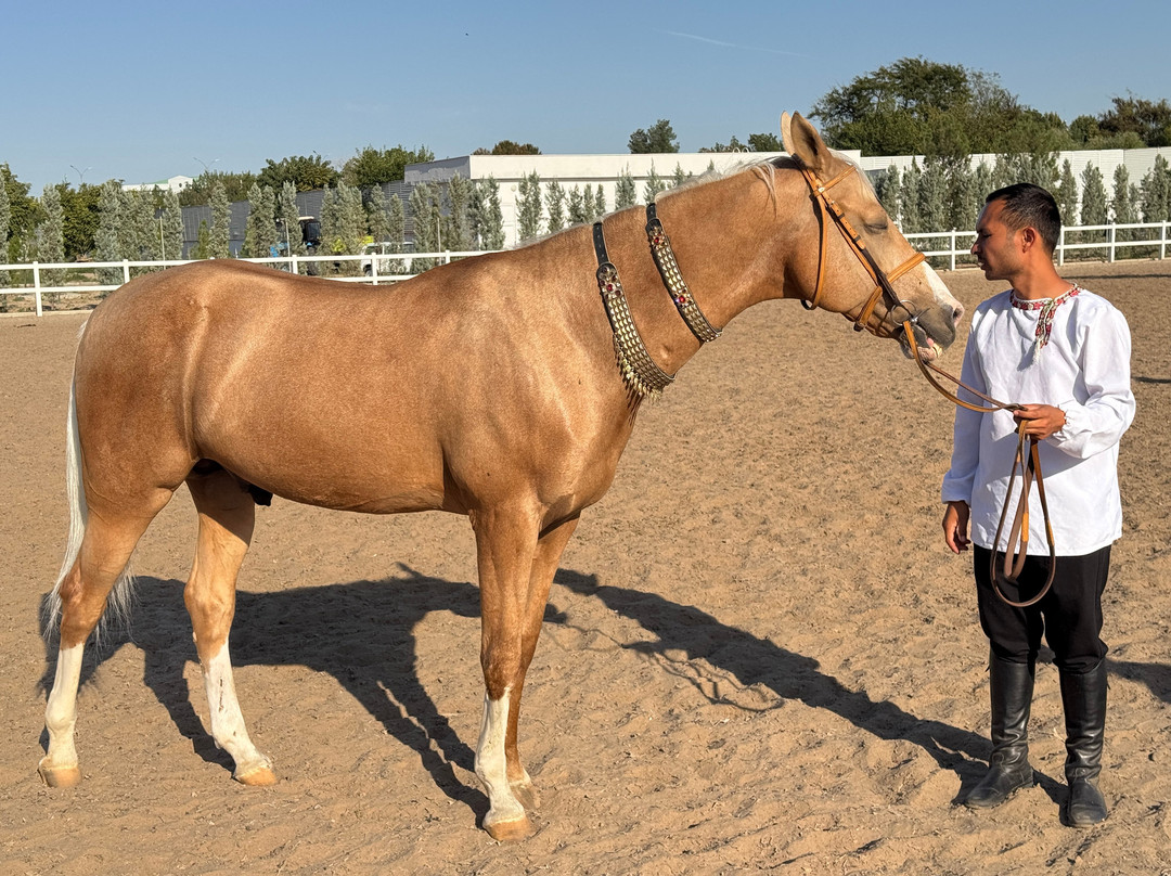 Ashgabat hippodrome-阿什哈巴德必去景点