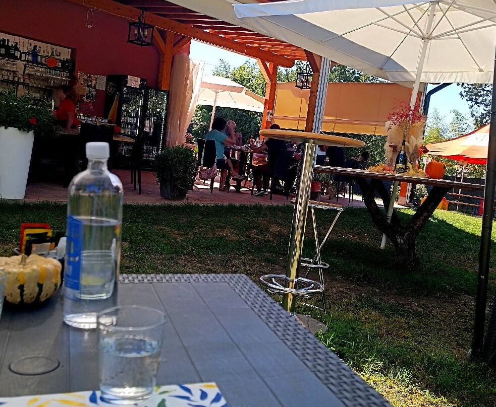 Nel Giardino Di Alice