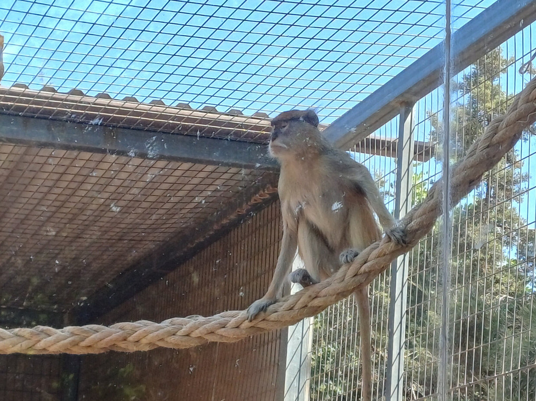 Pafos Zoo-帕福斯必去景点