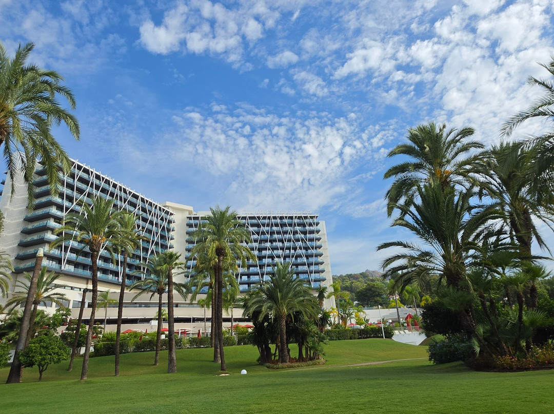 Club Med Magna Marbella主图
