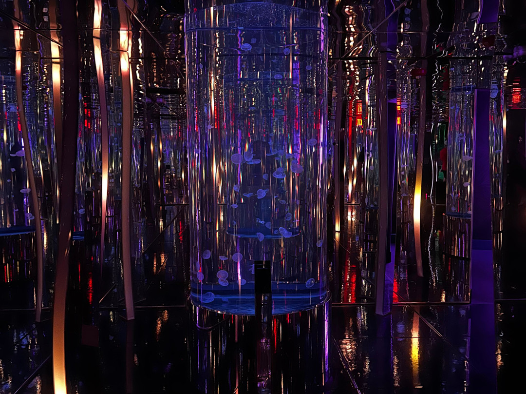 Aquarium At The Boardwalk-布兰森必去景点