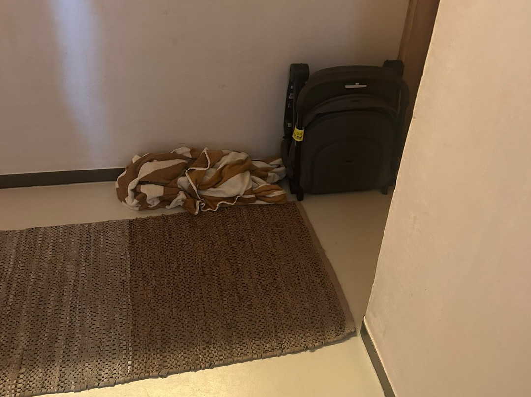 游牧者哈比港主图