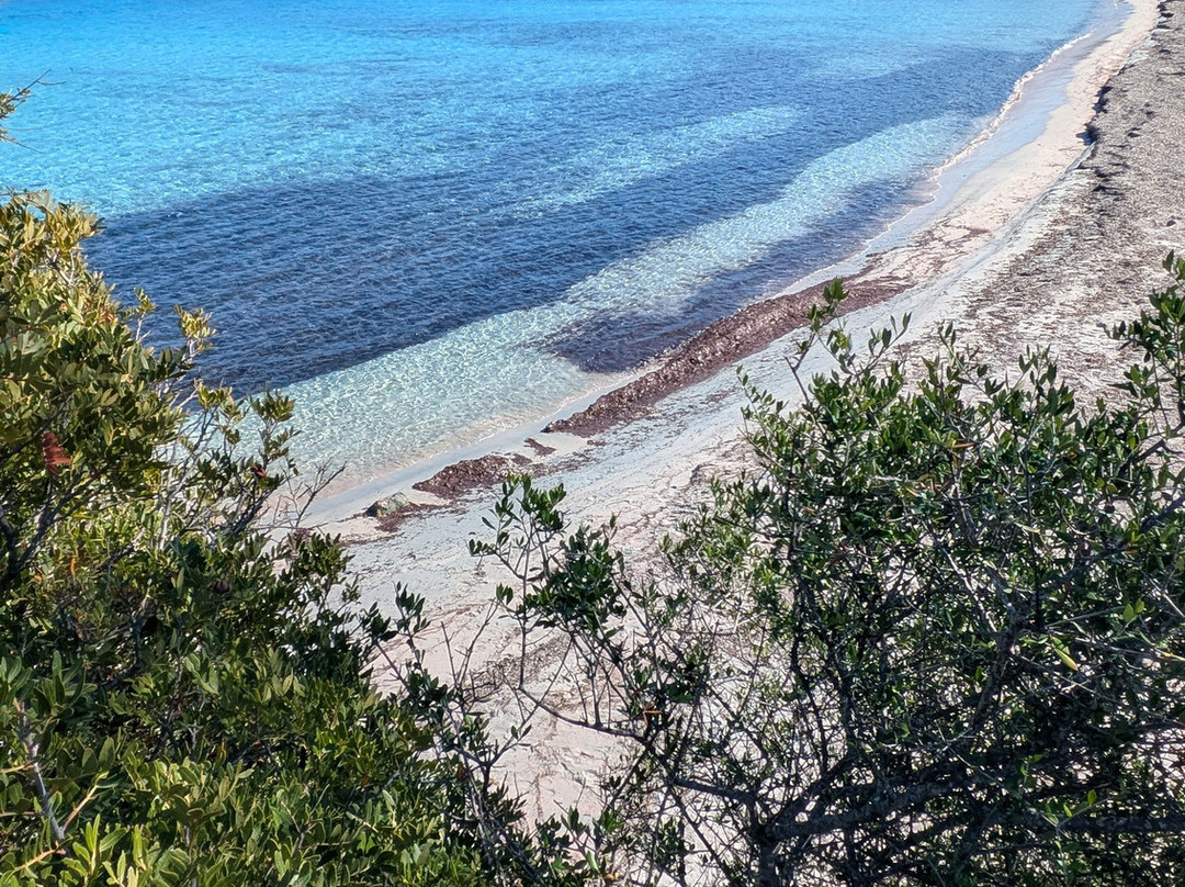 Saleccia Off Road-Saint Florent必去景点