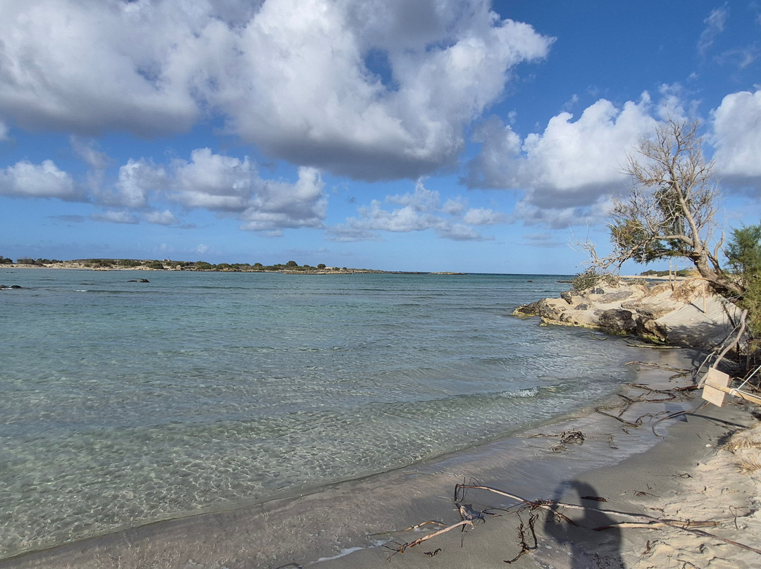Elafonissi Beach-拉格尼西必去景点