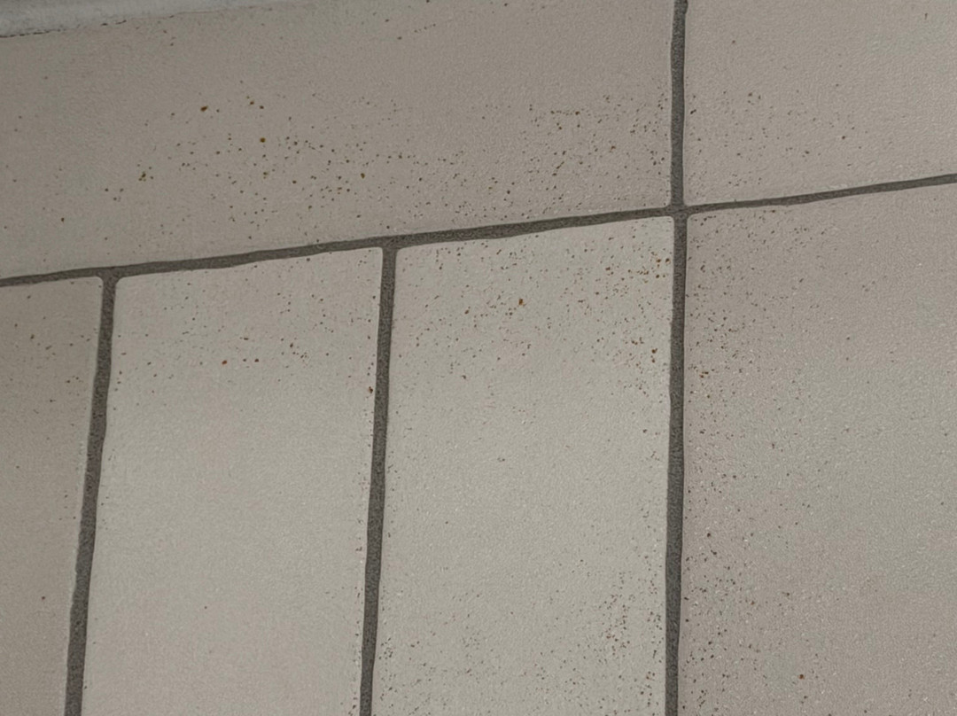 拉斯科琳娜斯欧姆尼酒店主图