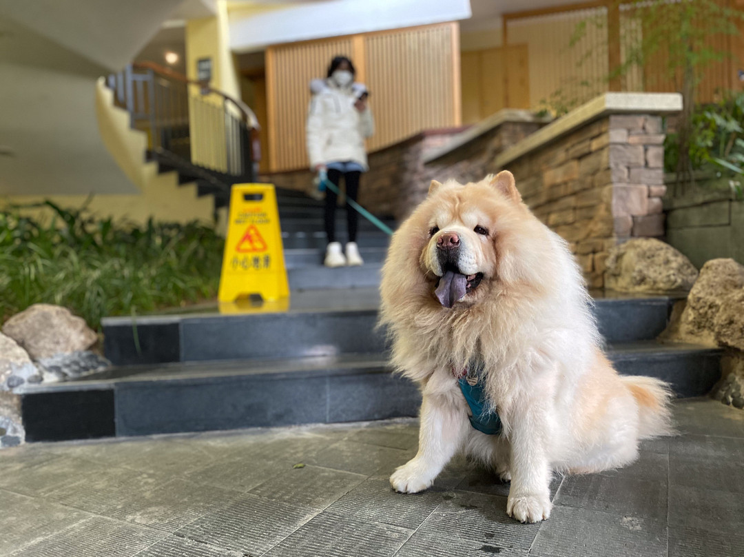 成都石象湖雅乐轩酒店主图