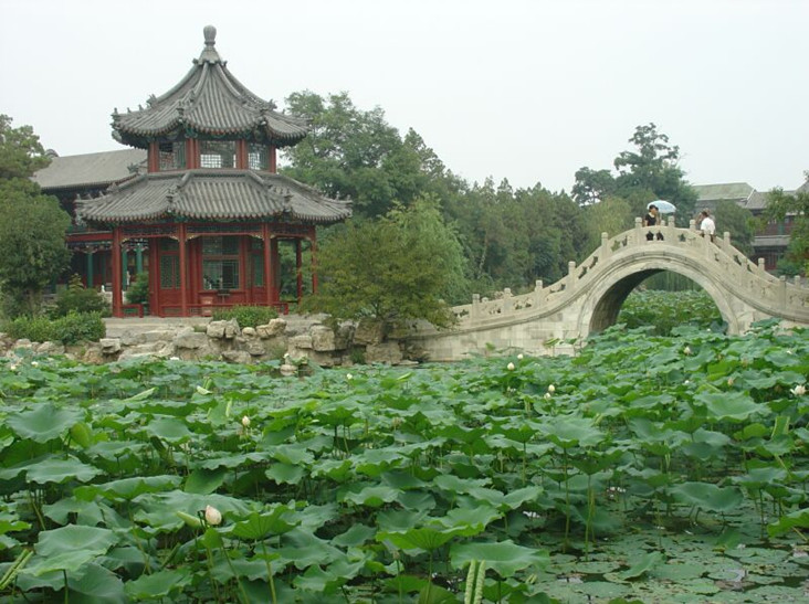 肃宁县旅游攻略图片