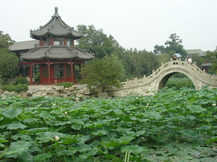 河北省旅游景点-古莲花池景区