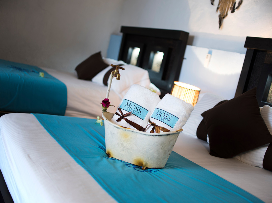 La Mansion del Burro Azul Hotel & Spa