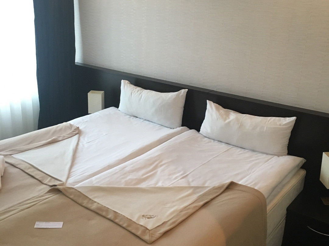 Mazeikiai酒店住宿-Hotel Palma