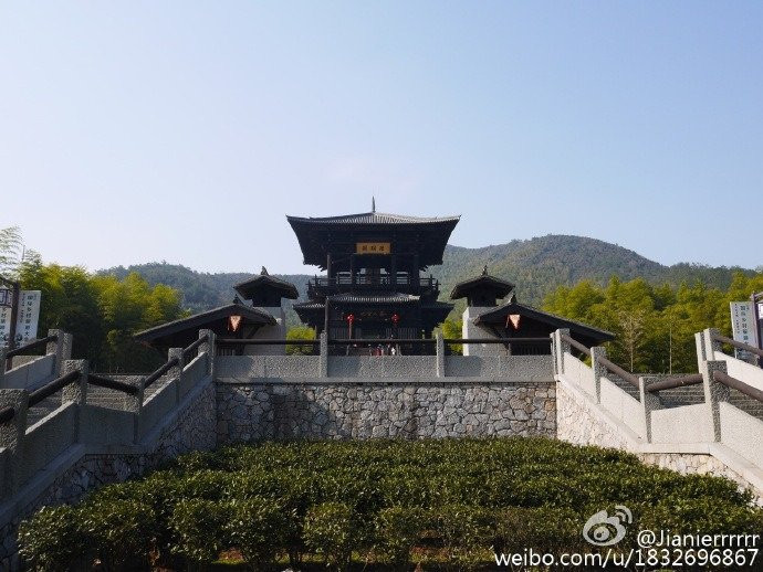 贡茶院-长兴必去景点