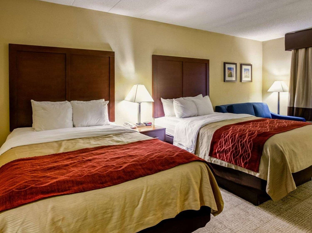Comfort Inn Hamburg Area / I-75 Lexington主图