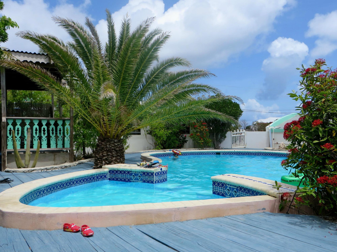 Salt Cay酒店住宿-Pirates Hideaway By the Sea Guest House on Salt Cay