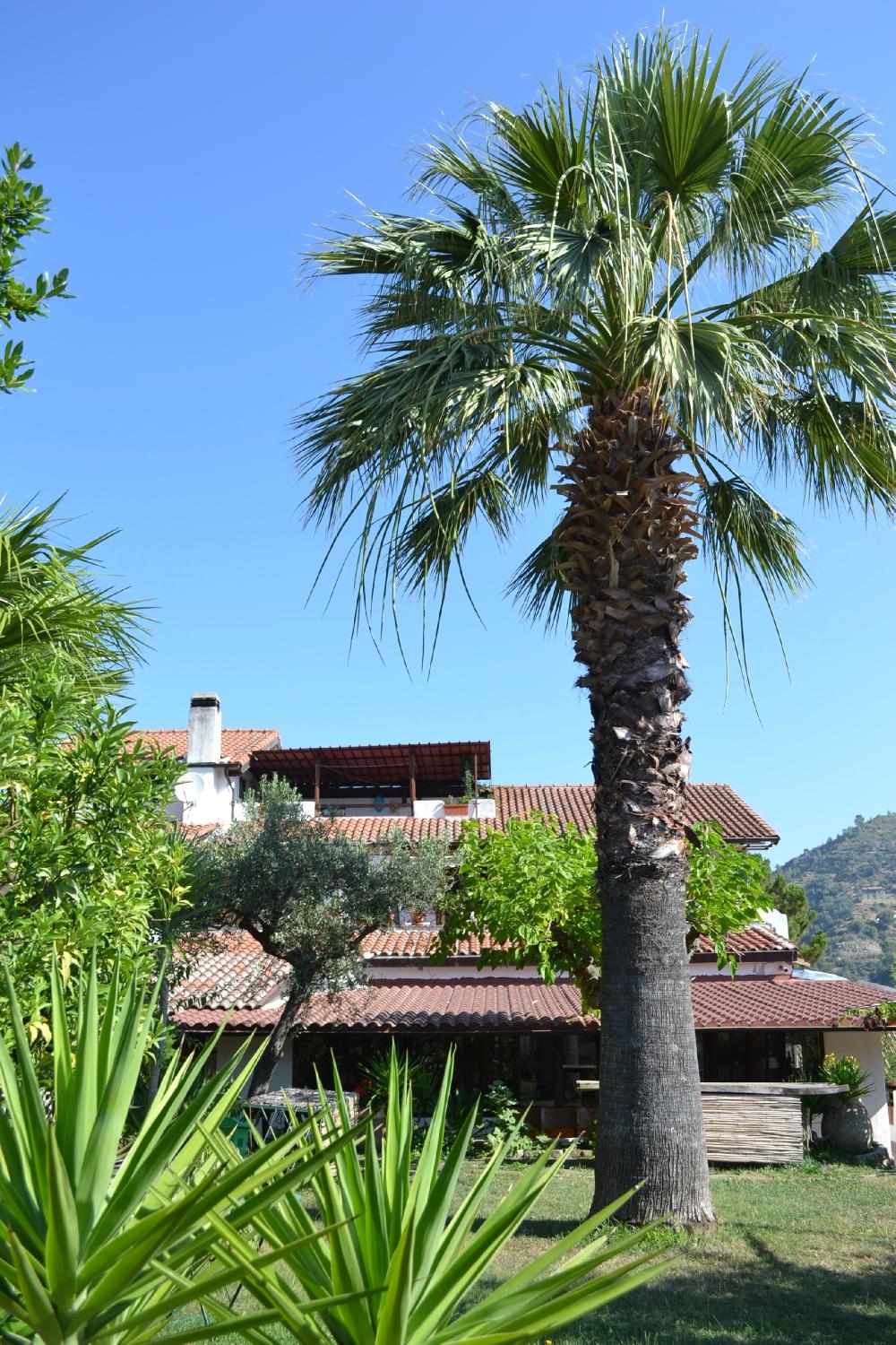 Agriturismo La Vecchia-官方