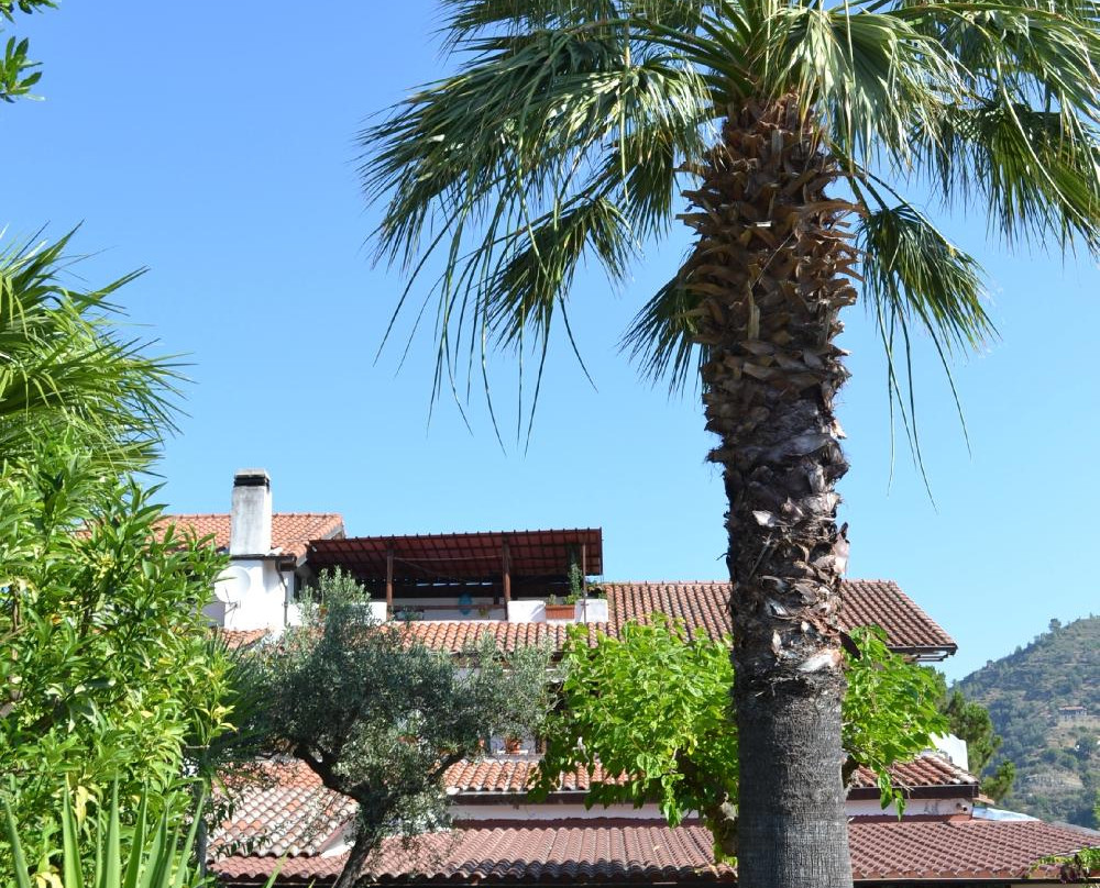 Province of Imperia酒店住宿-Agriturismo La Vecchia