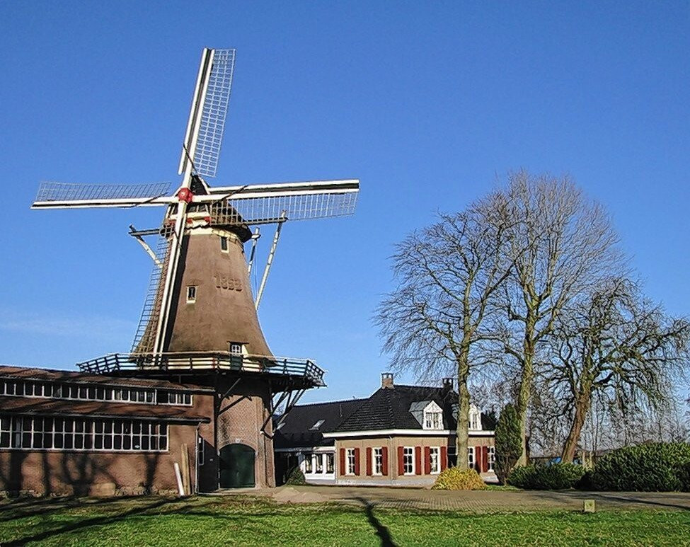 Molen De Hoop景点图片