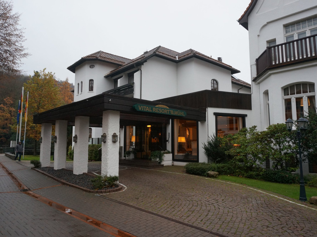 Bad Lauterberg酒店住宿-Mühl Vital Resort