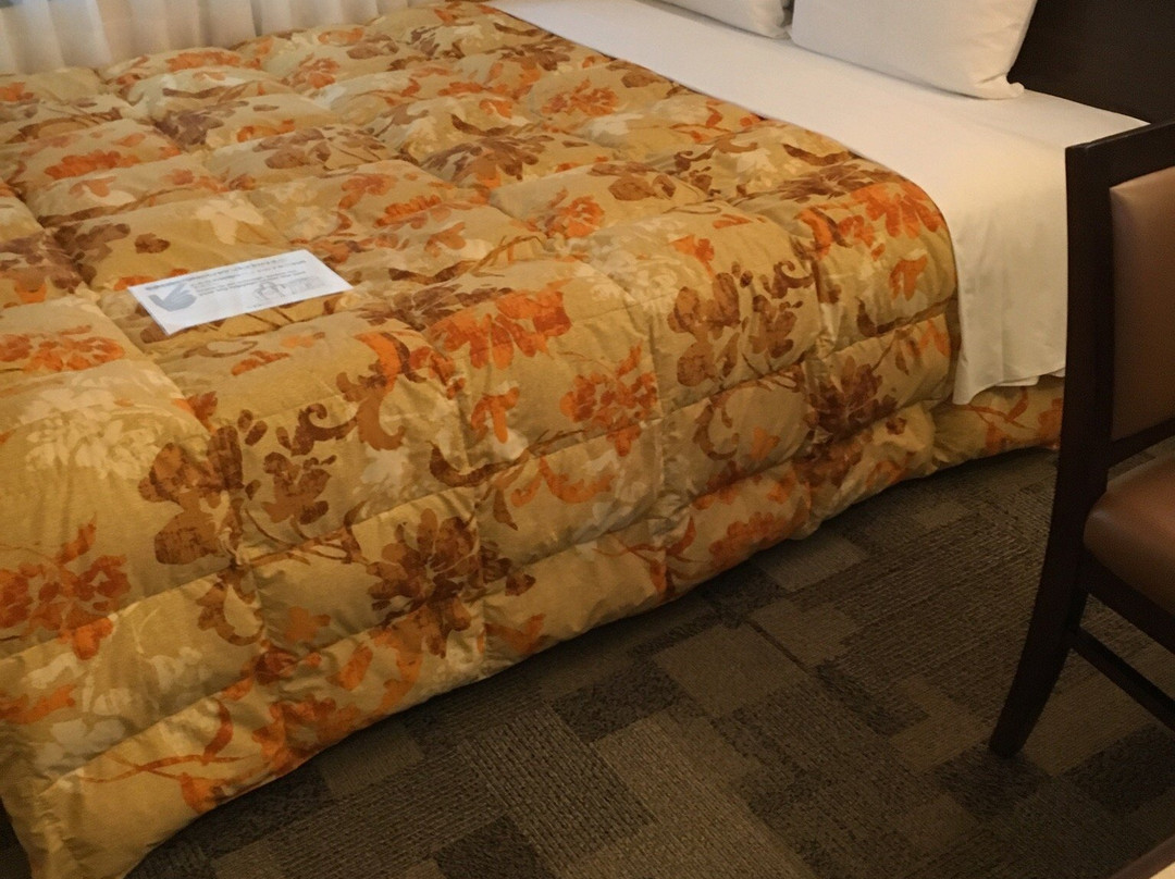 Toyoko INN Kashiwa Station West Exit