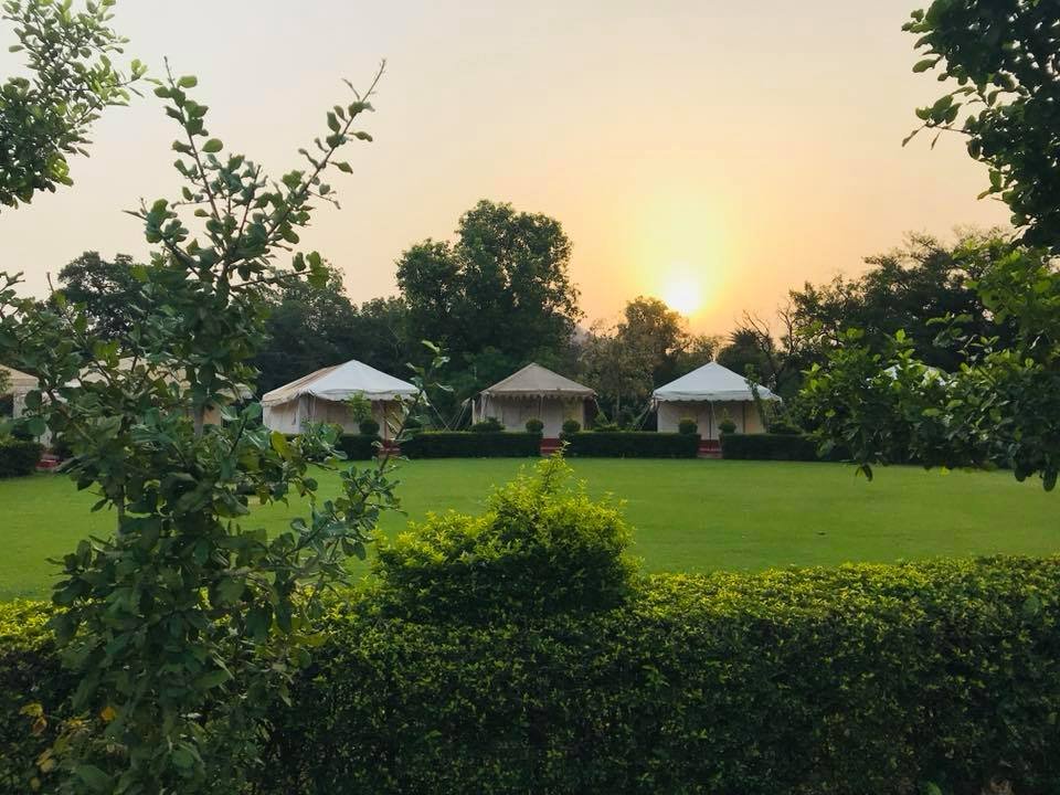 The Ummaid Bagh Resort-官方