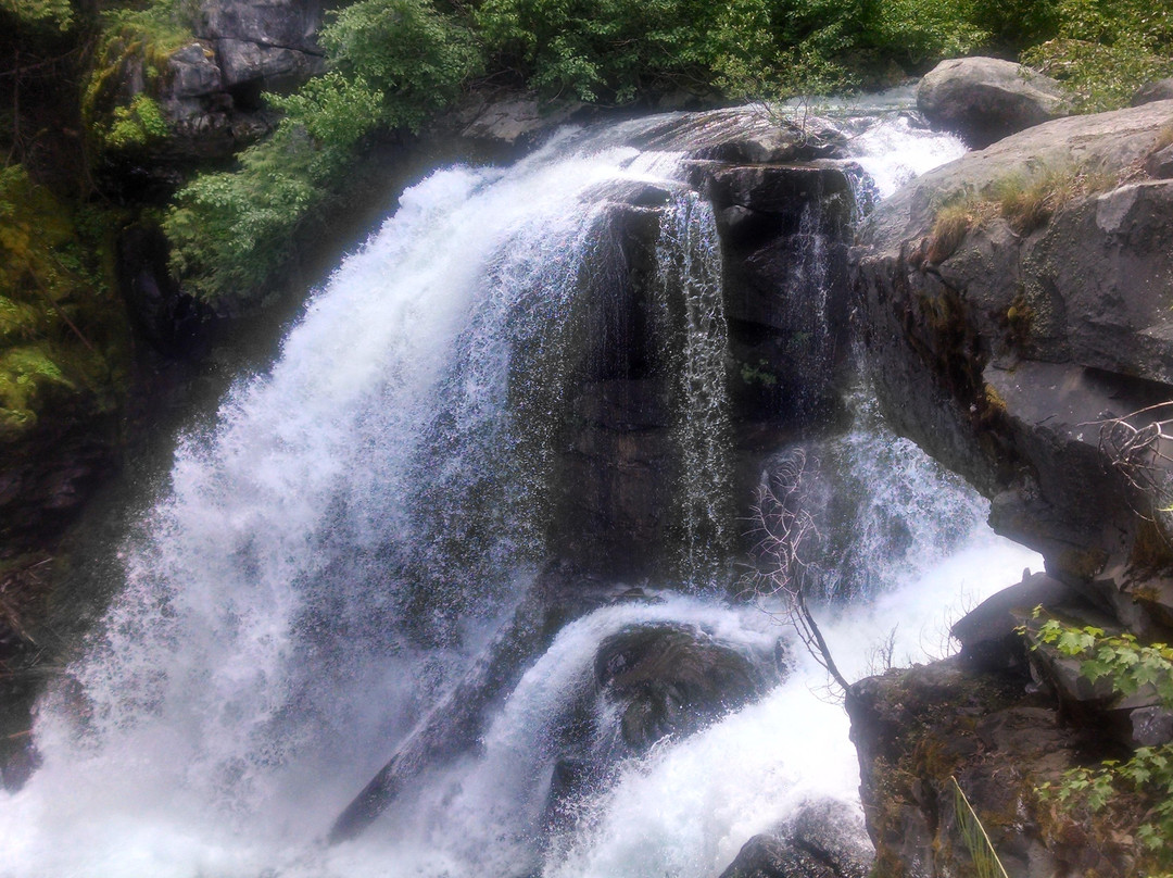 Cedar Creek Falls景点图片