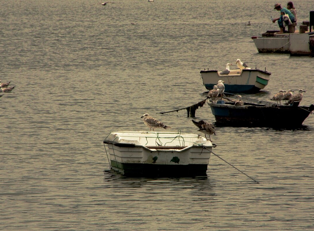 Playa De Padrón-Combarro必去景点