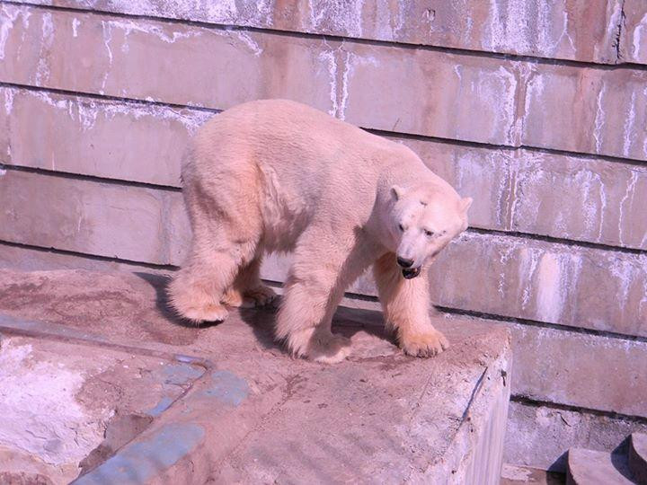 Yekaterinburgskiy Zoopark景点图片