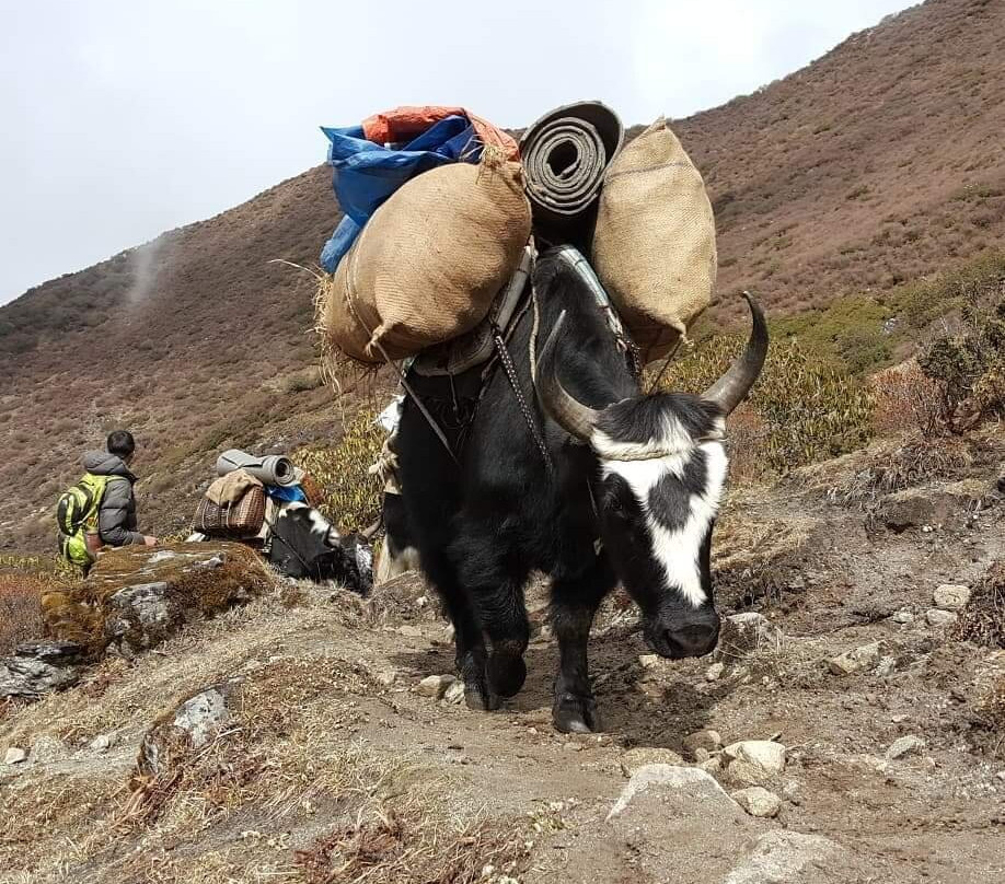 Dzongri Goechala-Yuksom必去景点