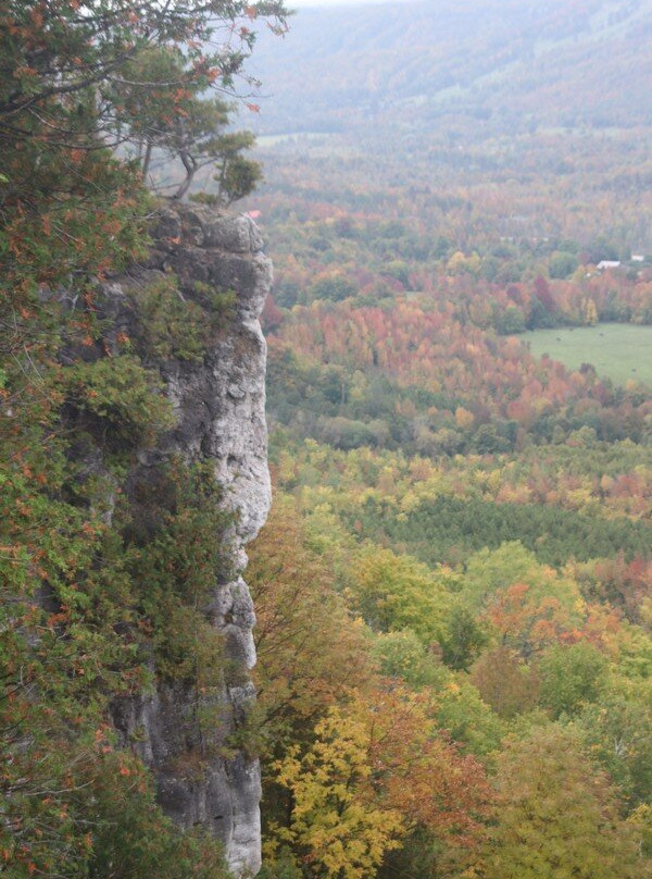 Old Baldy Conservation Area景点图片